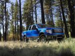 Ford F-150 2009 года